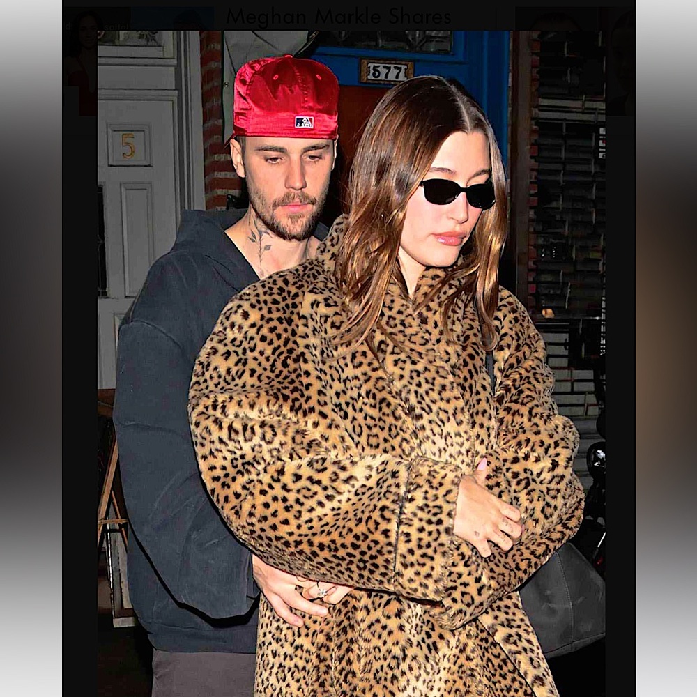🎉HP🎉Dylan Los Angeles Teddy Leopard-Print Jacket
